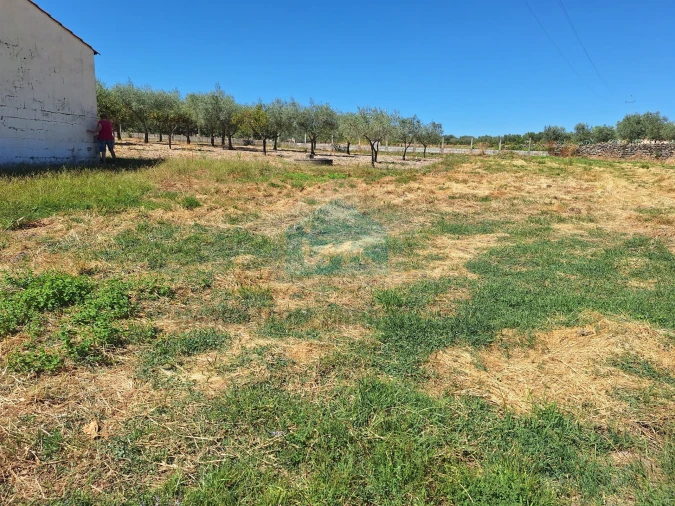 Moradia T4 para Venda em Aguieiras Foto 35