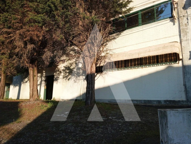 Armazém para Venda em Escapães Foto 37