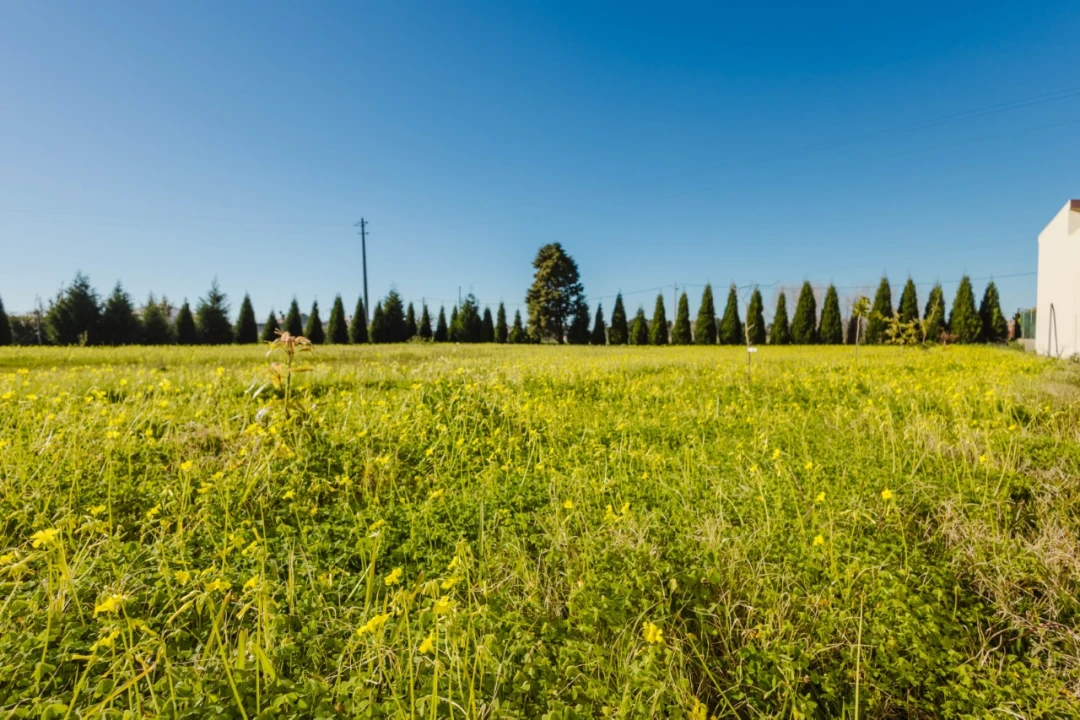 Moradia T7 para Venda em Lavos Foto 51