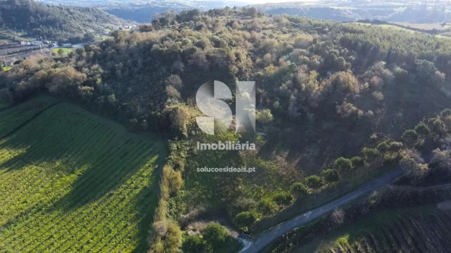 Terreno para Venda em Dois Portos e Runa Foto 3