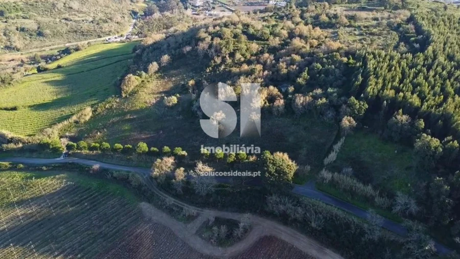 Terreno para Venda em Dois Portos e Runa Foto 5