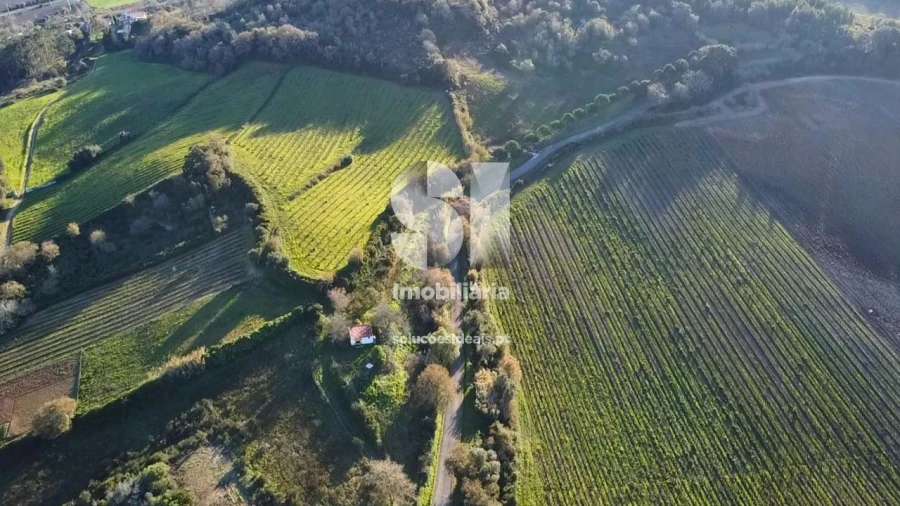 Terreno para Venda em Dois Portos e Runa Foto 7