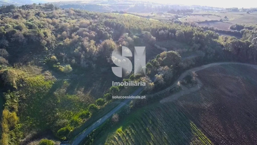 Terreno para Venda em Dois Portos e Runa Foto 9