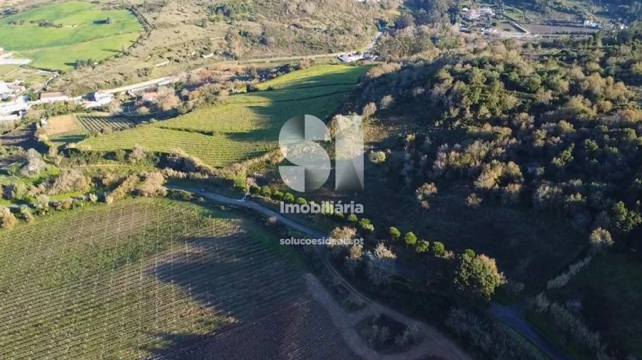 Terreno para Venda em Dois Portos e Runa Foto 13
