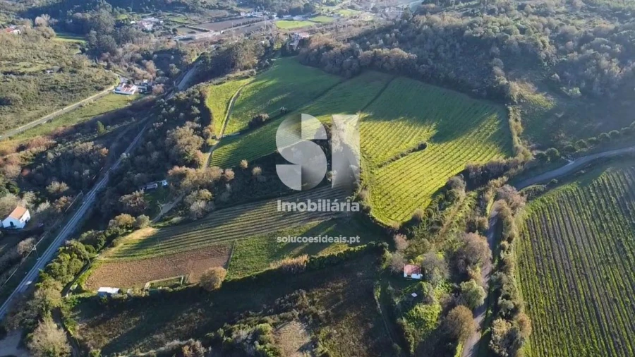 Terreno para Venda em Dois Portos e Runa Foto 14