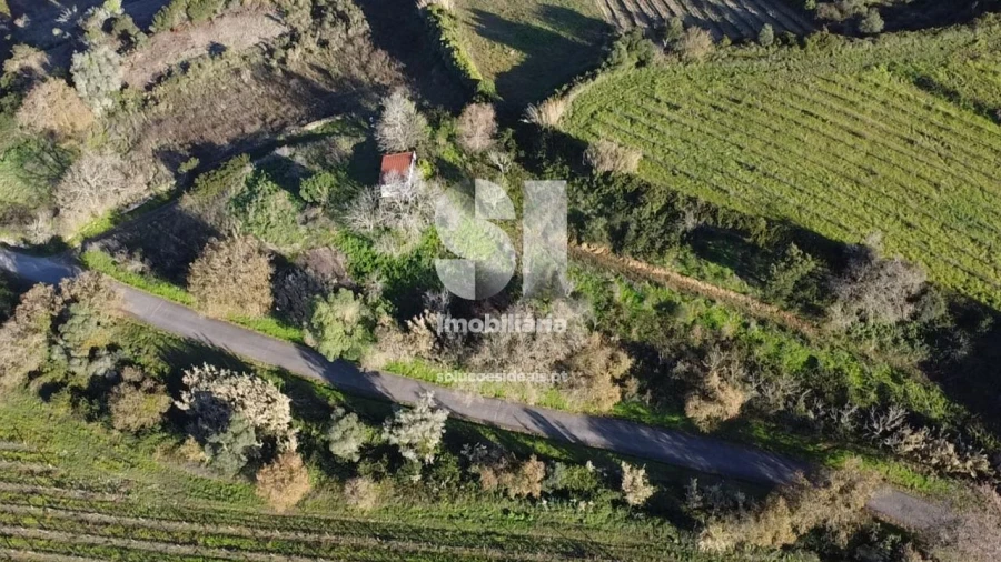 Terreno para Venda em Dois Portos e Runa Foto 19