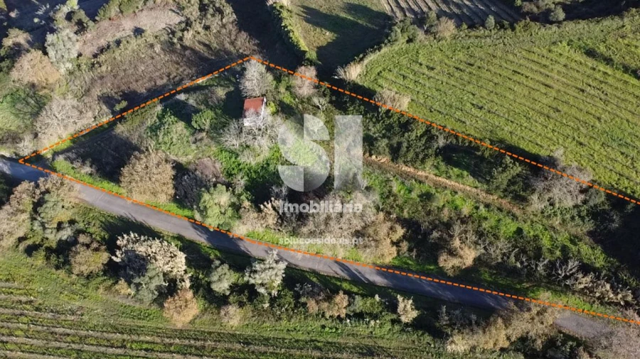 Terreno para Venda em Dois Portos e Runa Foto 20