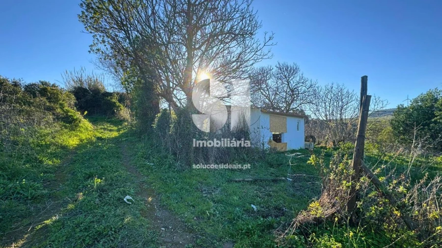 Terreno para Venda em Dois Portos e Runa Foto 21