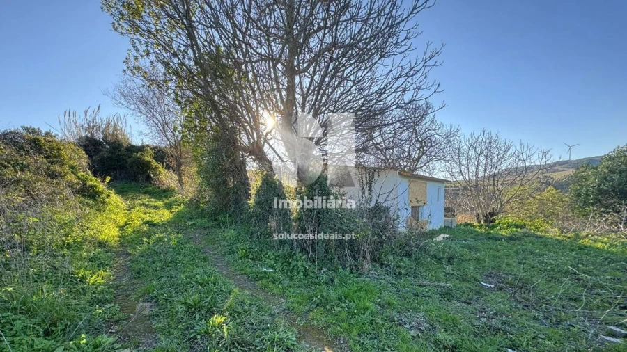 Terreno para Venda em Dois Portos e Runa Foto 24