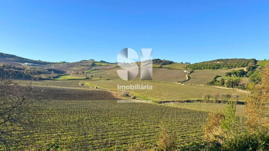 Terreno para Venda em Dois Portos e Runa Foto 25