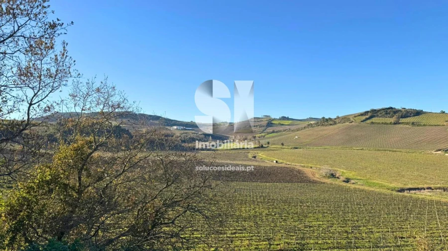 Terreno para Venda em Dois Portos e Runa Foto 26