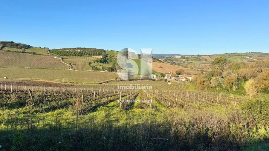 Terreno para Venda em Dois Portos e Runa Foto 27