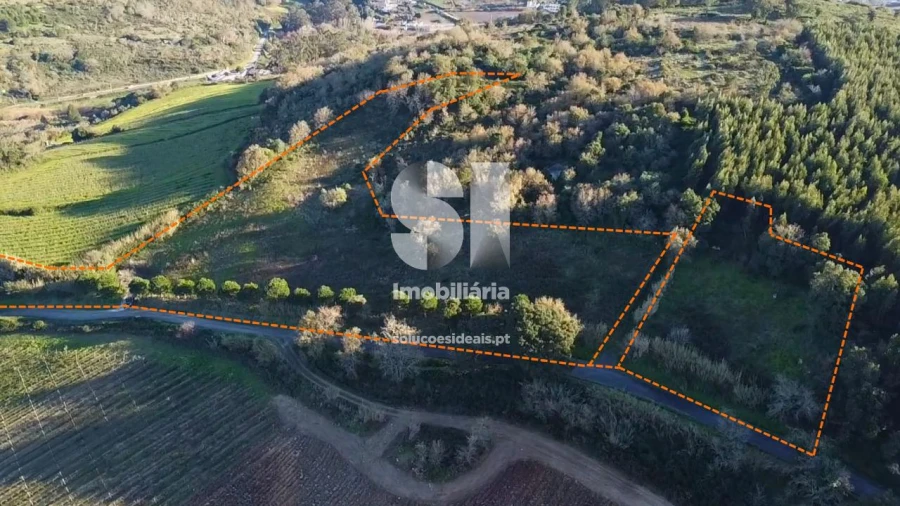 Terreno para Venda em Dois Portos e Runa Foto 6