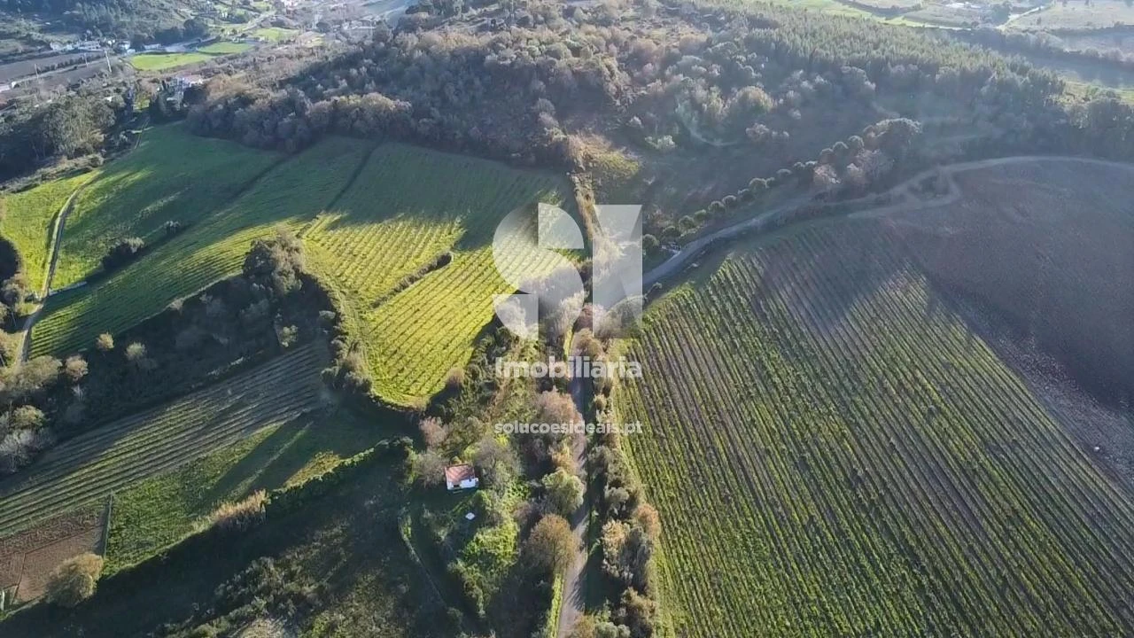 Terreno para Venda em Dois Portos e Runa Foto 8