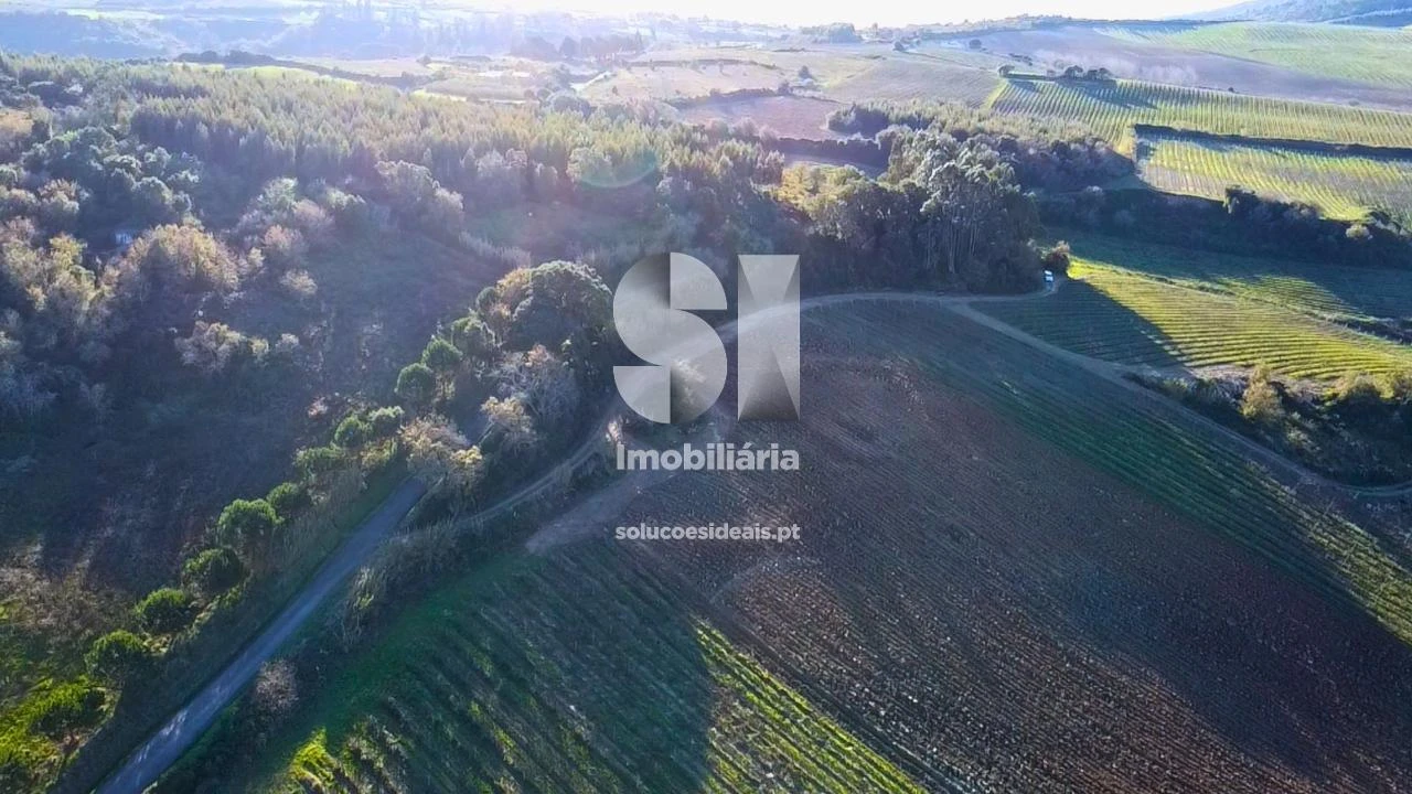 Terreno para Venda em Dois Portos e Runa Foto 11