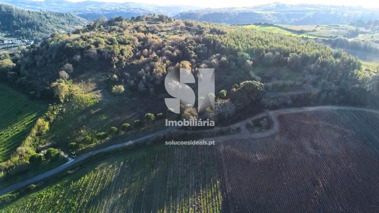 Terreno para Venda em Dois Portos e Runa Foto 12