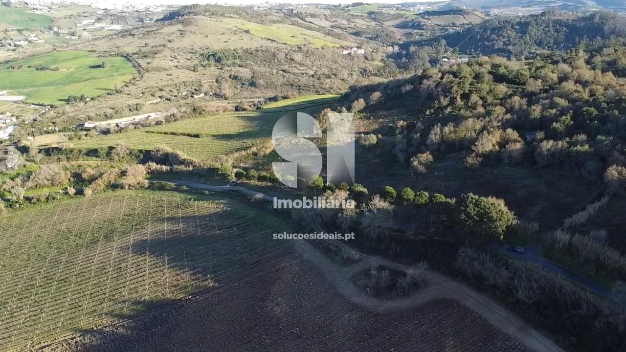 Terreno para Venda em Dois Portos e Runa Foto 13