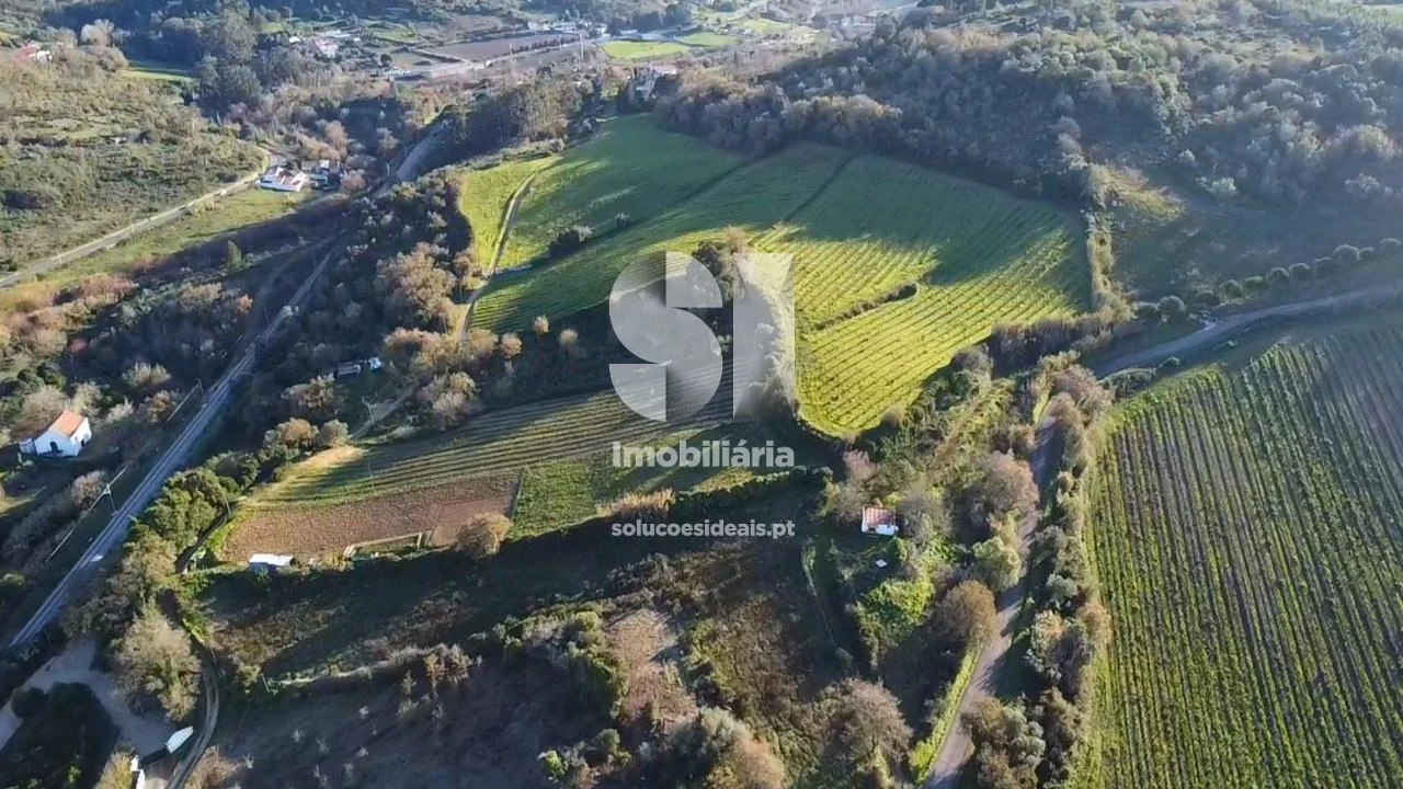 Terreno para Venda em Dois Portos e Runa Foto 16