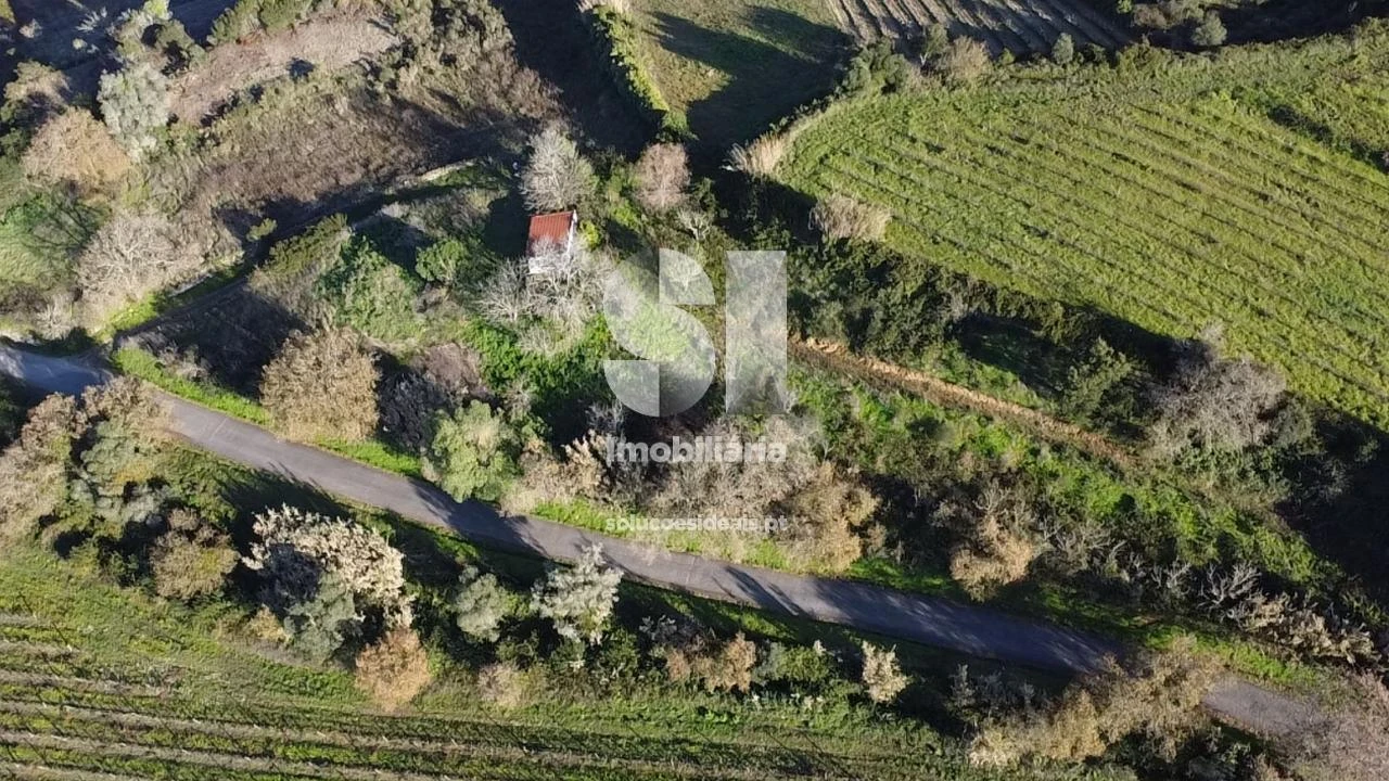 Terreno para Venda em Dois Portos e Runa Foto 20