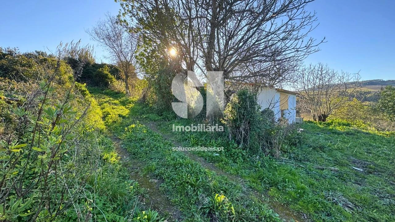 Terreno para Venda em Dois Portos e Runa Foto 24