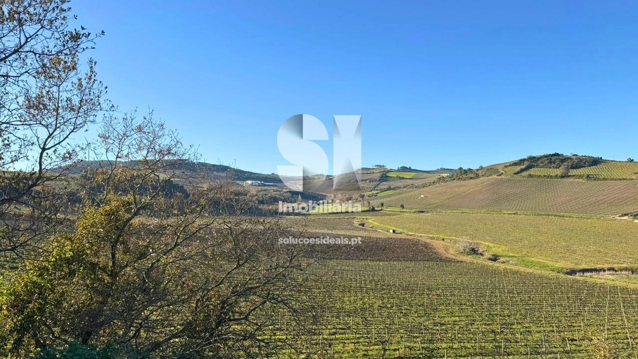 Terreno para Venda em Dois Portos e Runa Foto 27