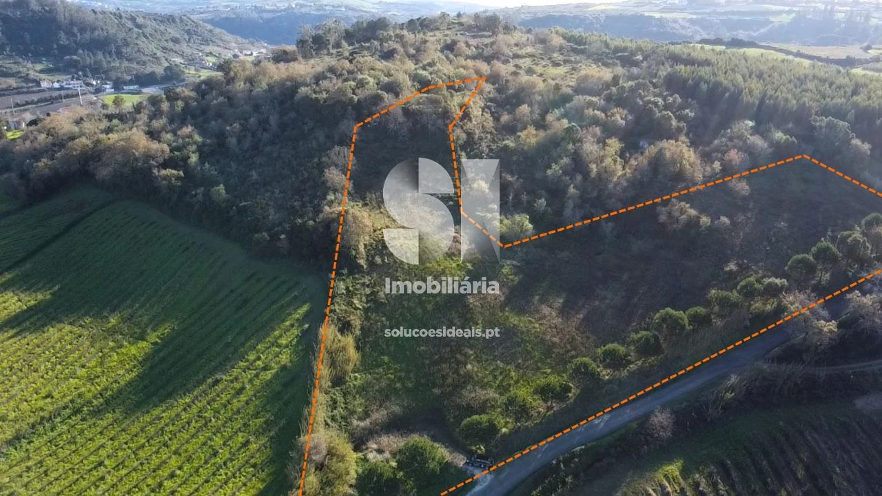 Terreno para Venda em Dois Portos e Runa Foto 4