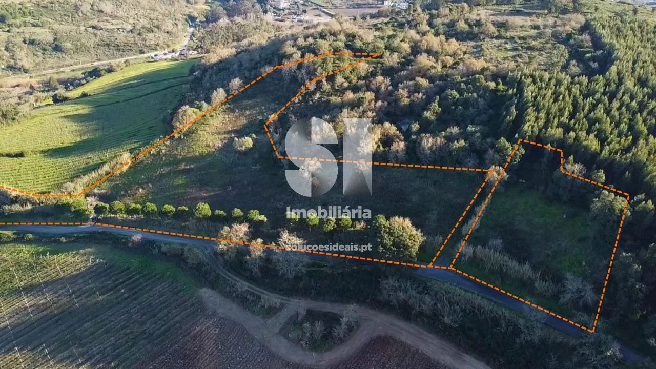 Terreno para Venda em Dois Portos e Runa Foto 6