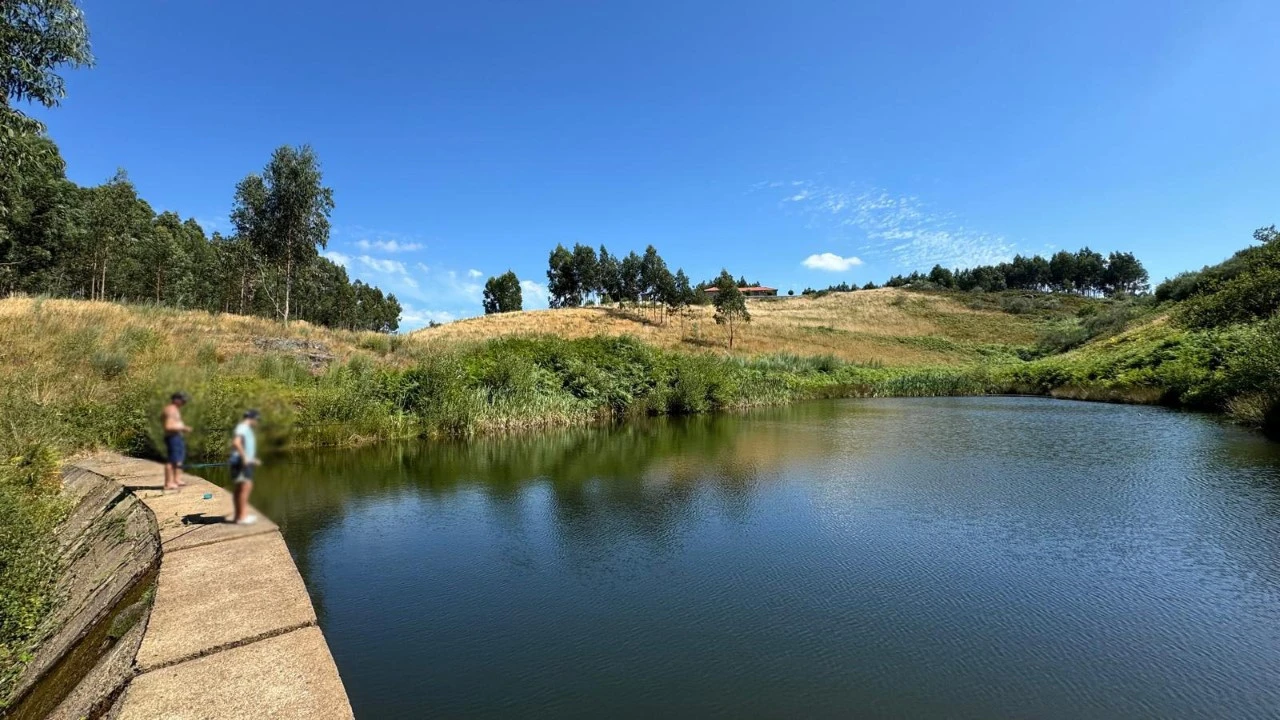 Terreno Agricola ou Rústico para Venda em Ribas Foto 9
