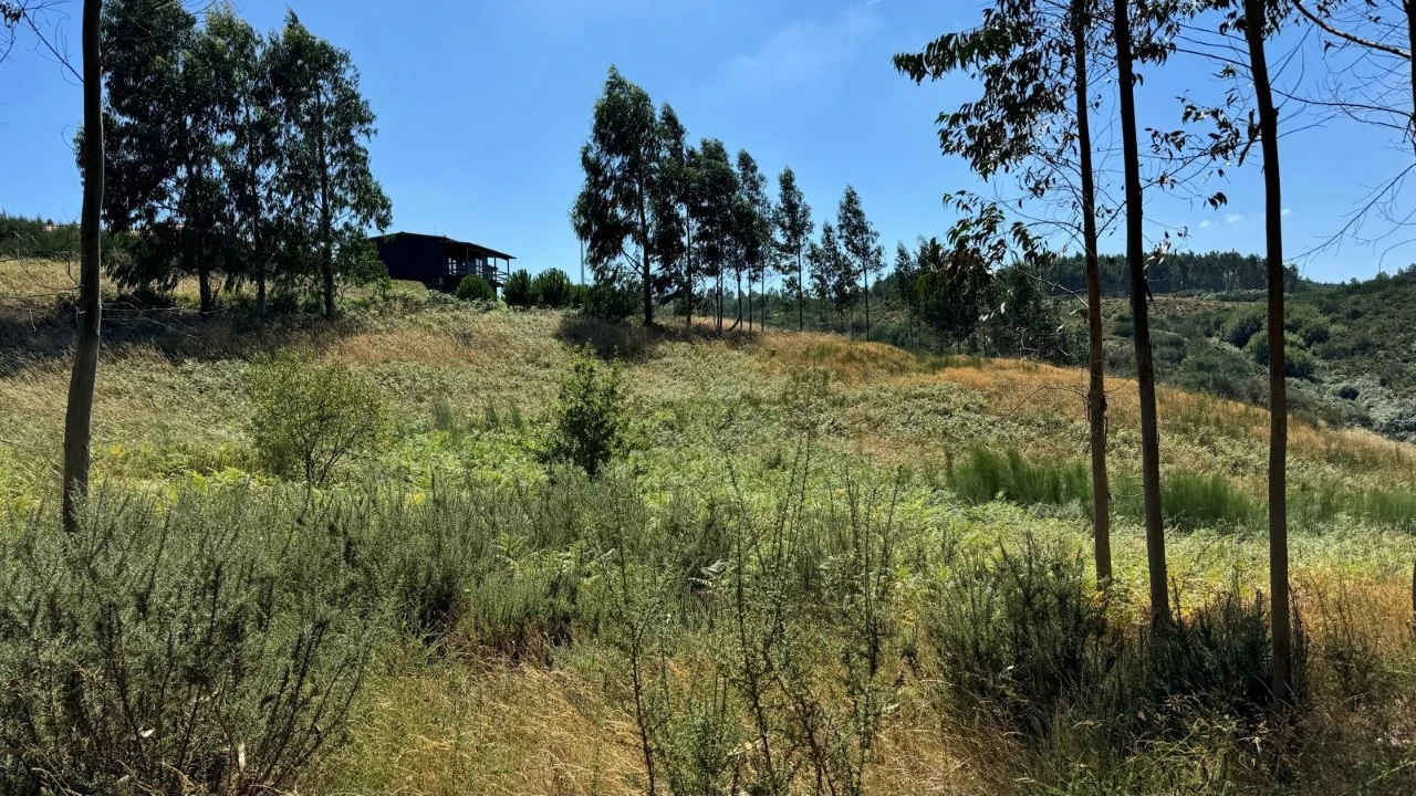 Terreno Agricola ou Rústico para Venda em Ribas Foto 15