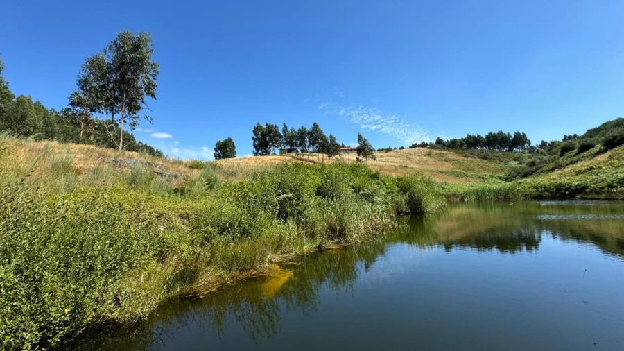 Terreno Agricola ou Rústico para Venda em Ribas Foto 2