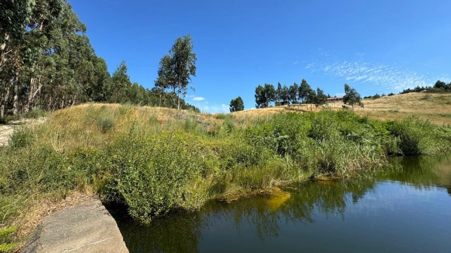Terreno Agricola ou Rústico para Venda em Ribas Foto 4