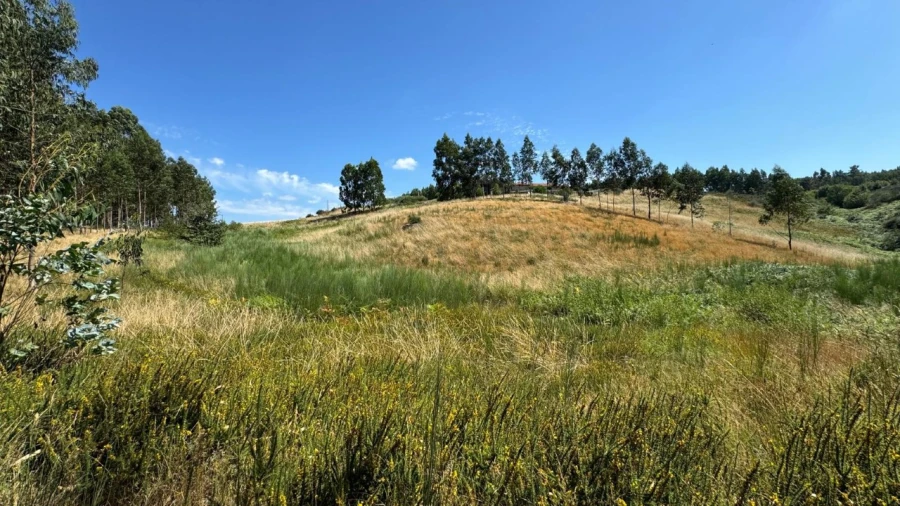 Terreno Agricola ou Rústico para Venda em Ribas Foto 13