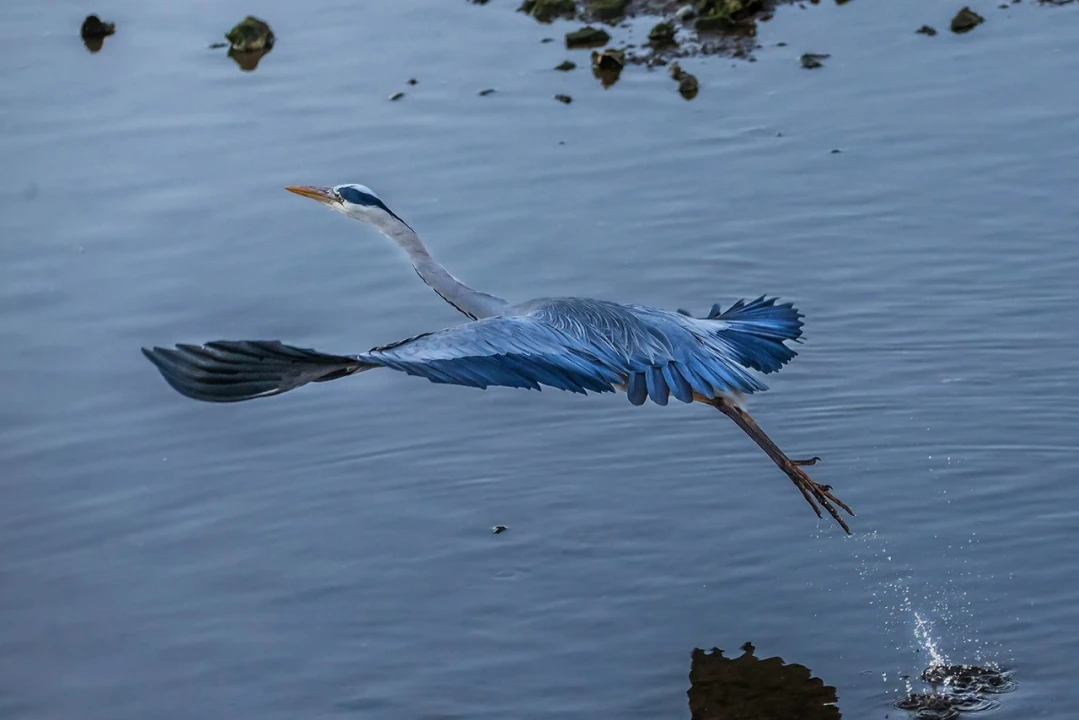 Moradia T5 para Venda em Luz de Tavira e Santo Estêvão Foto 18