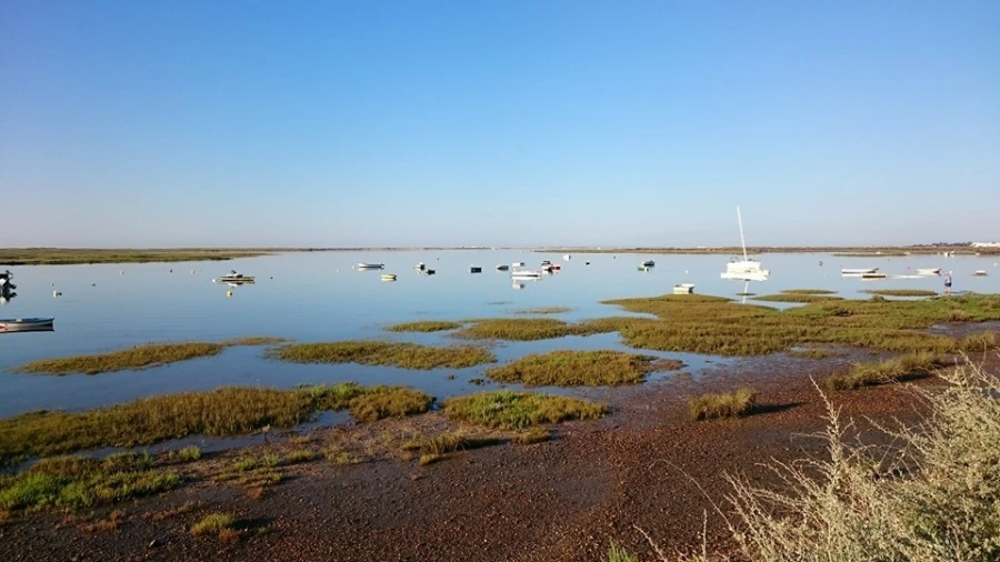Moradia T5 para Venda em Luz de Tavira e Santo Estêvão Foto 16