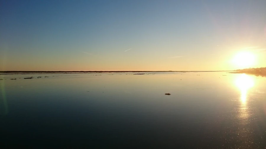 Moradia T5 para Venda em Luz de Tavira e Santo Estêvão Foto 17