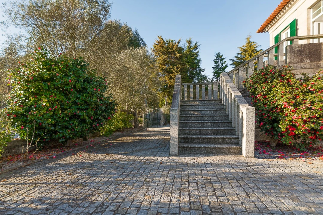 Quinta T10 para Venda em Castelões Foto 12