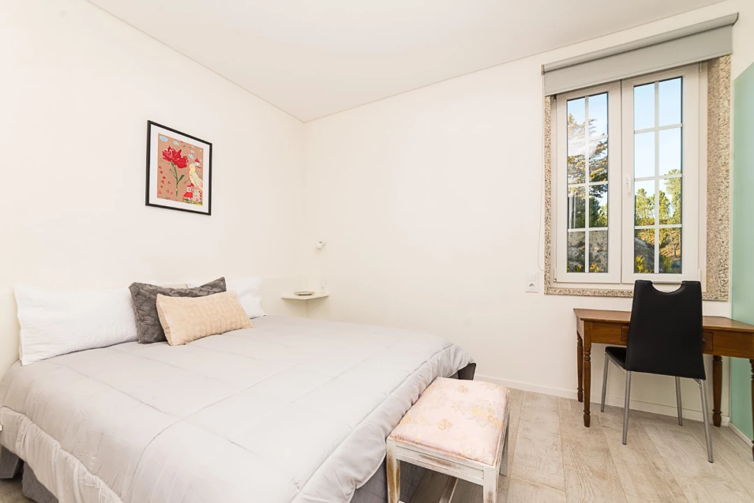 Quinta T10 para Venda em Castelões Foto 18