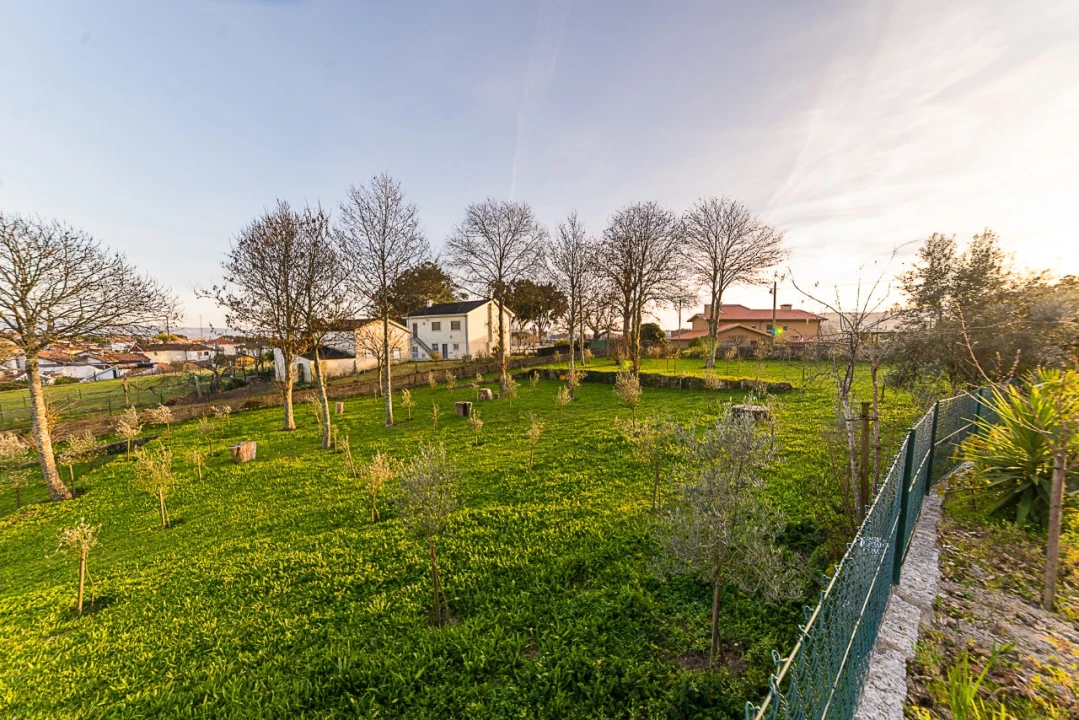 Quinta T10 para Venda em Castelões Foto 46