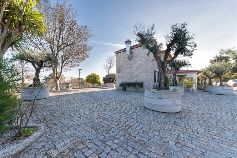 Quinta T10 para Venda em Castelões Foto 8