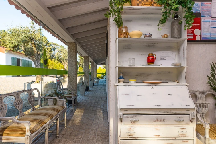 Quinta T10 para Venda em Castelões Foto 35