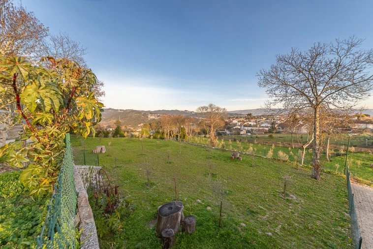 Quinta T10 para Venda em Castelões Foto 48