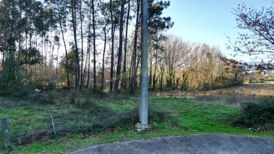 Terreno para Venda em Gandra e Taião Foto 9