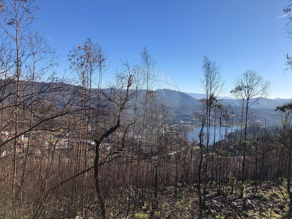 Terreno para Venda em Melres e Medas Foto 6