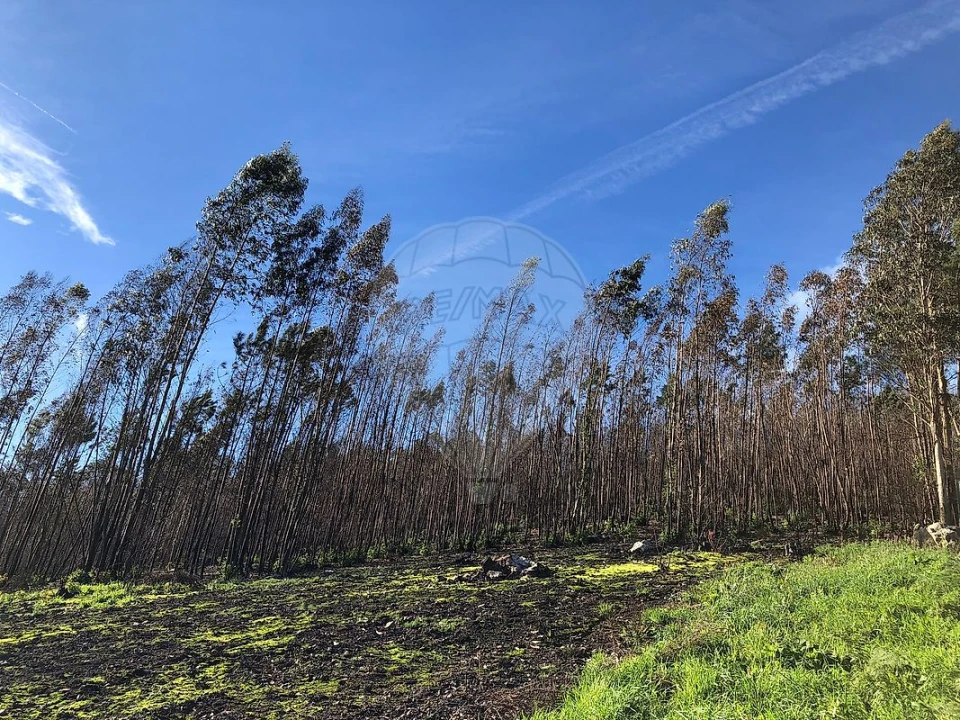Terreno para Venda em Melres e Medas Foto 10
