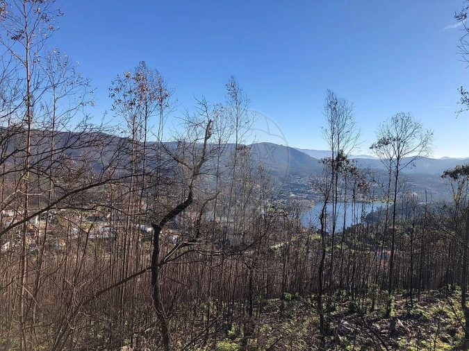 Terreno para Venda em Melres e Medas Foto 6