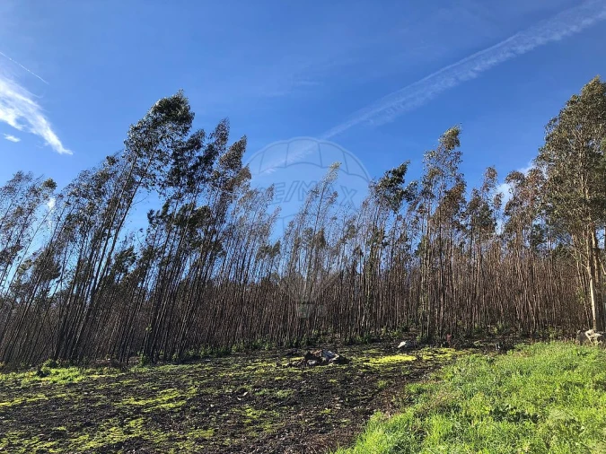 Terreno para Venda em Melres e Medas Foto 10