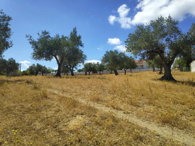 Terreno para Venda em Carregueiros