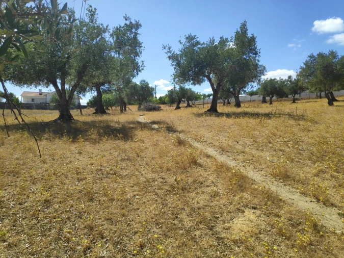 Terreno para Venda em Carregueiros Foto 2