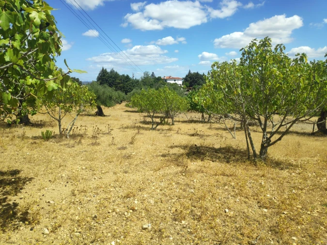 Terreno para Venda em Carregueiros Foto 3