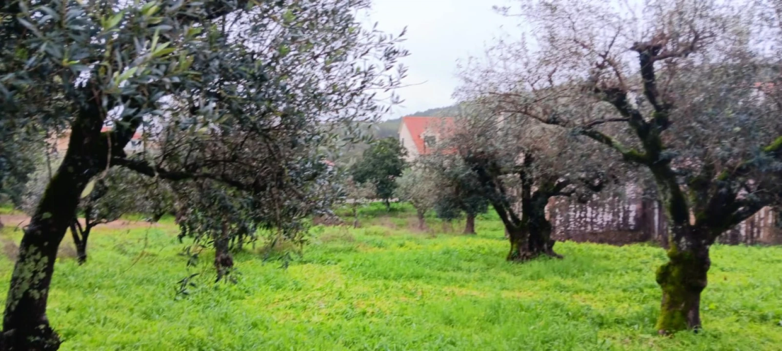 Moradia T3 para Venda em Mação, Penhascoso e Aboboreira Foto 6
